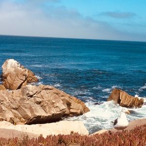 Meet your Posher, Olga